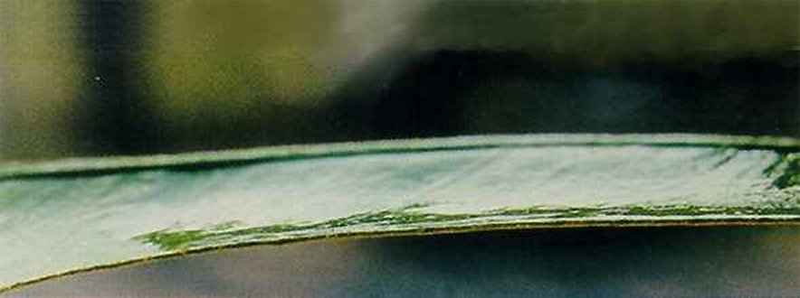 ​Wassertropfen mit 0,1% Break-Thru