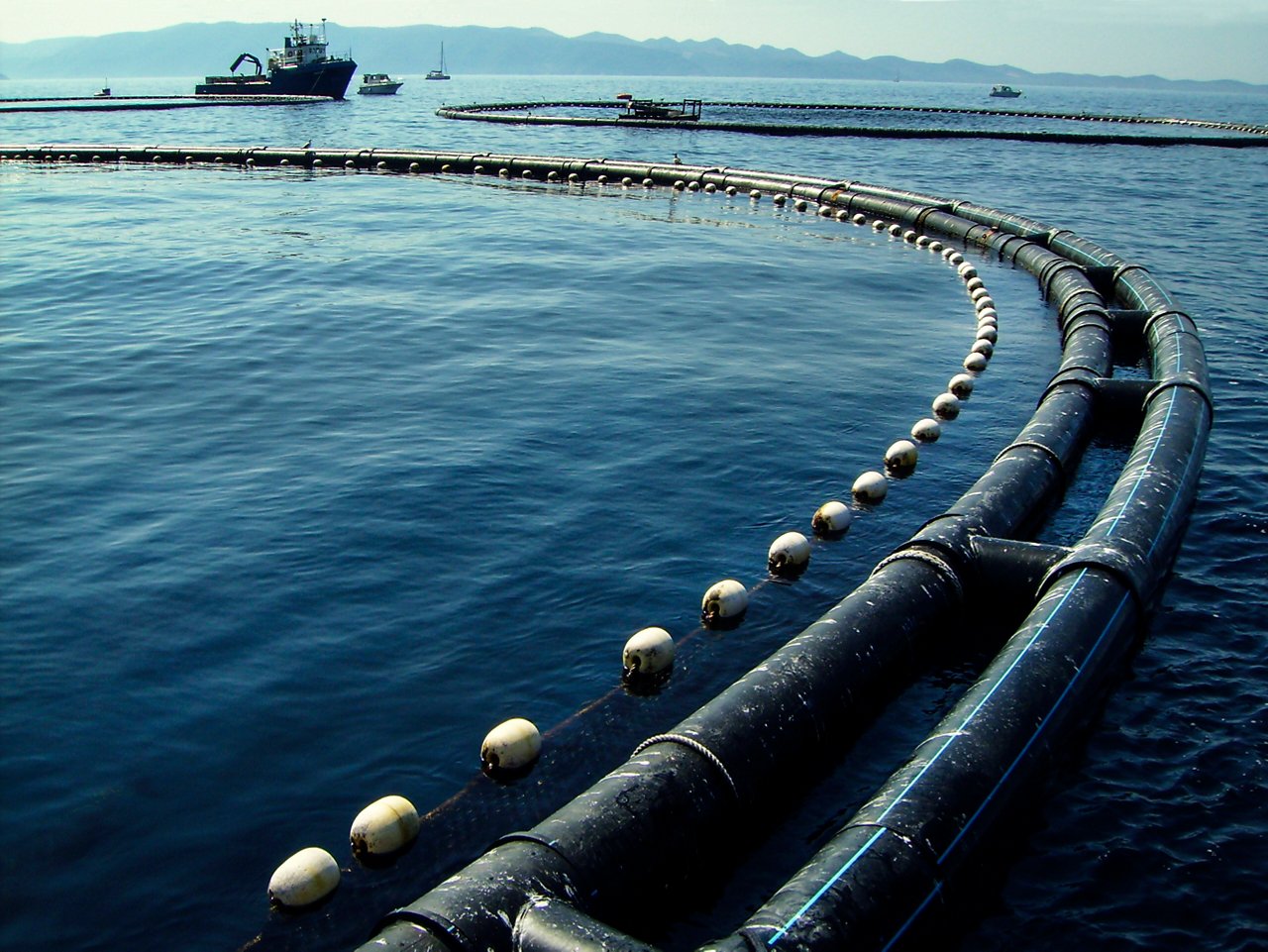 Fish farm and boats on the Adriatic sea