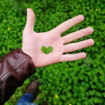 Man hand holding a heart shaped leaf