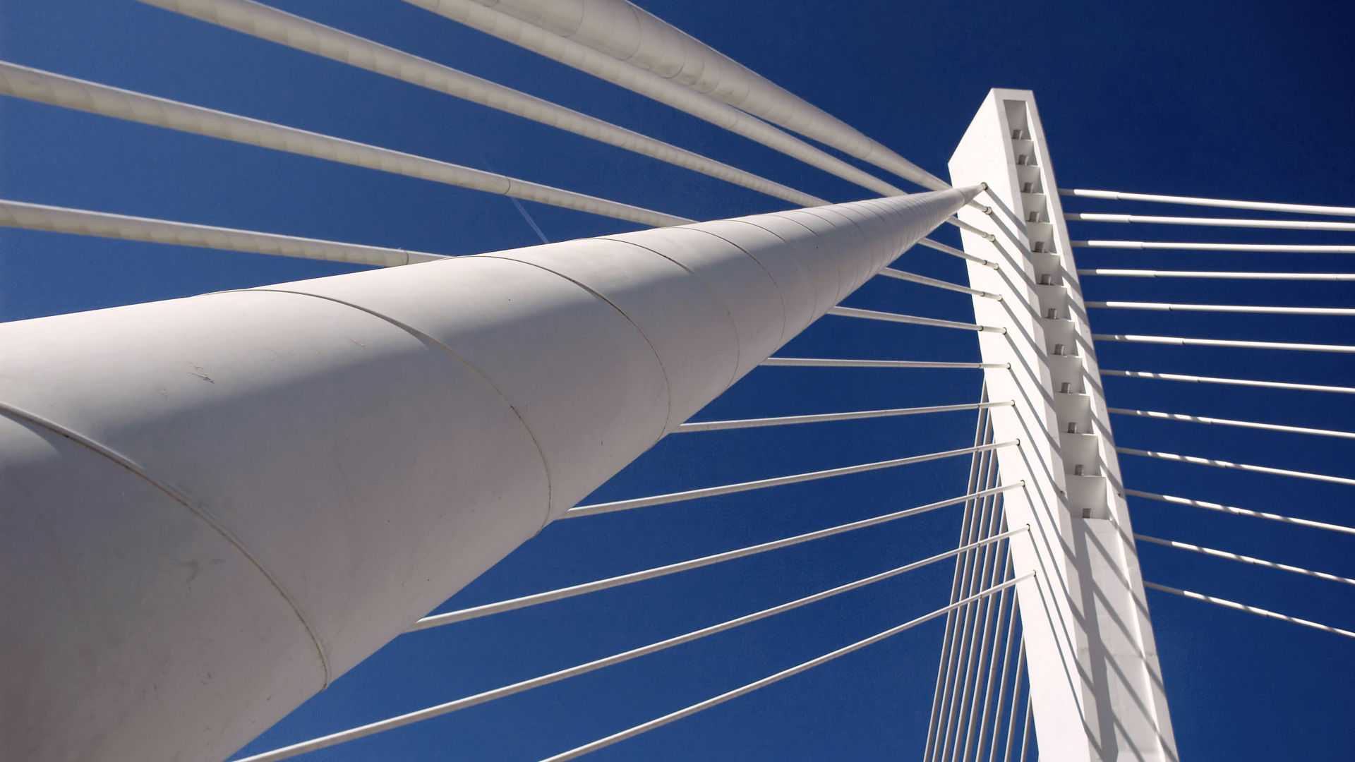 Details of modern bridge vith long holding cables.