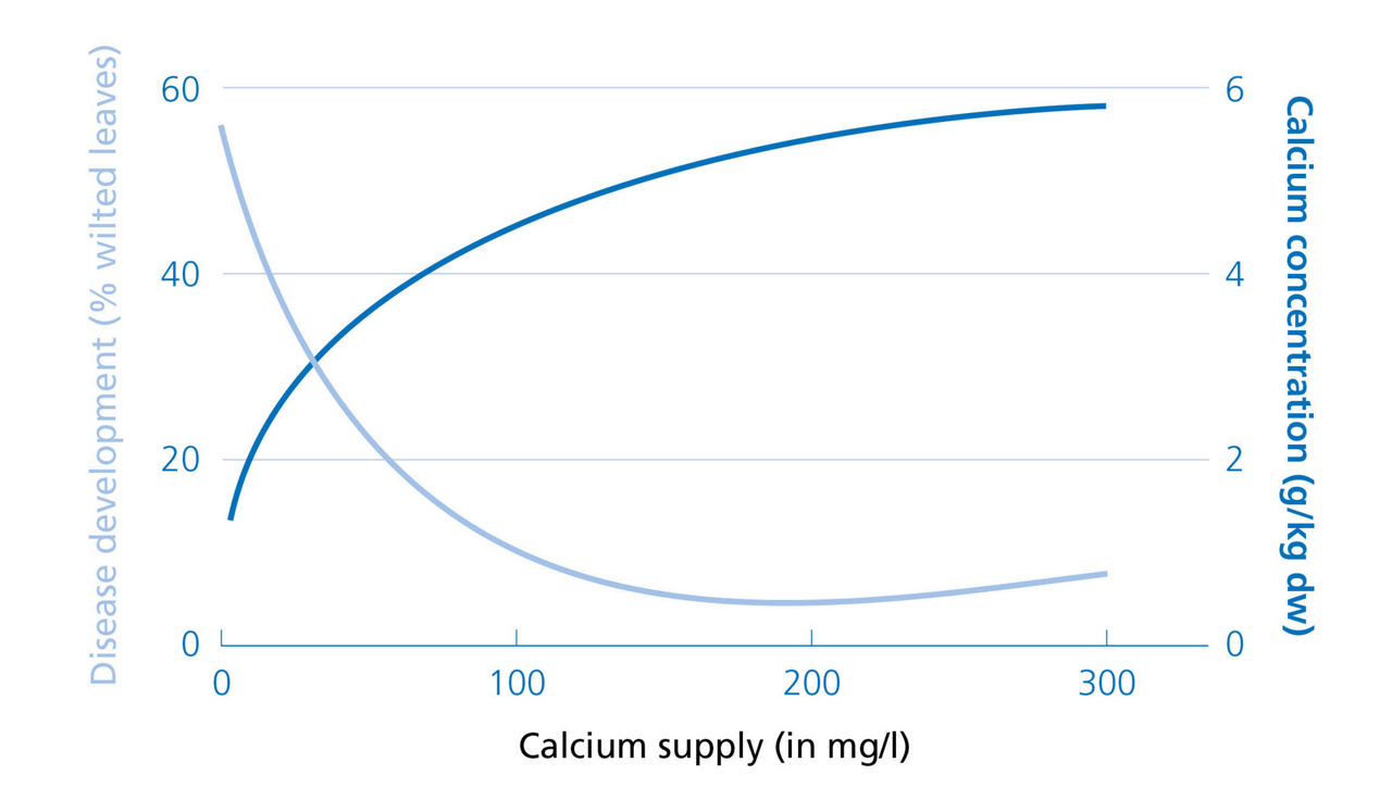 Calcium supply vs disease graph