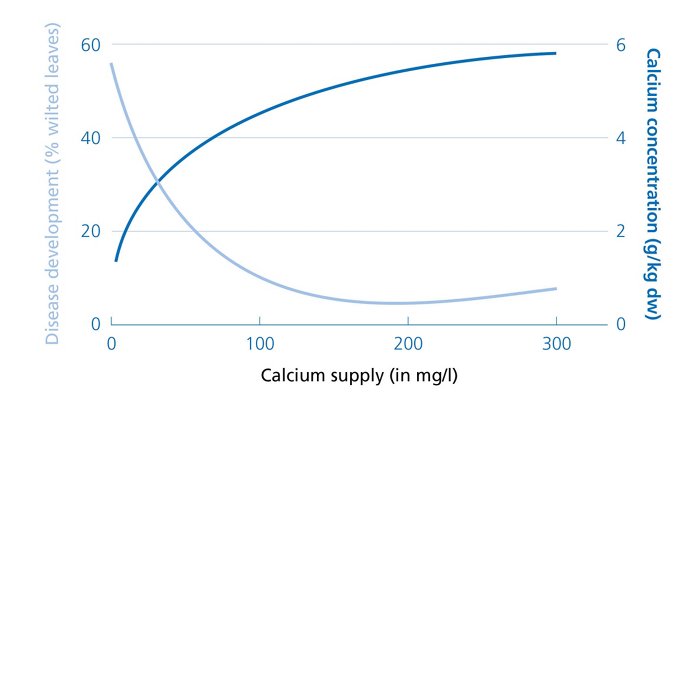 Calcium supply vs disease graph
