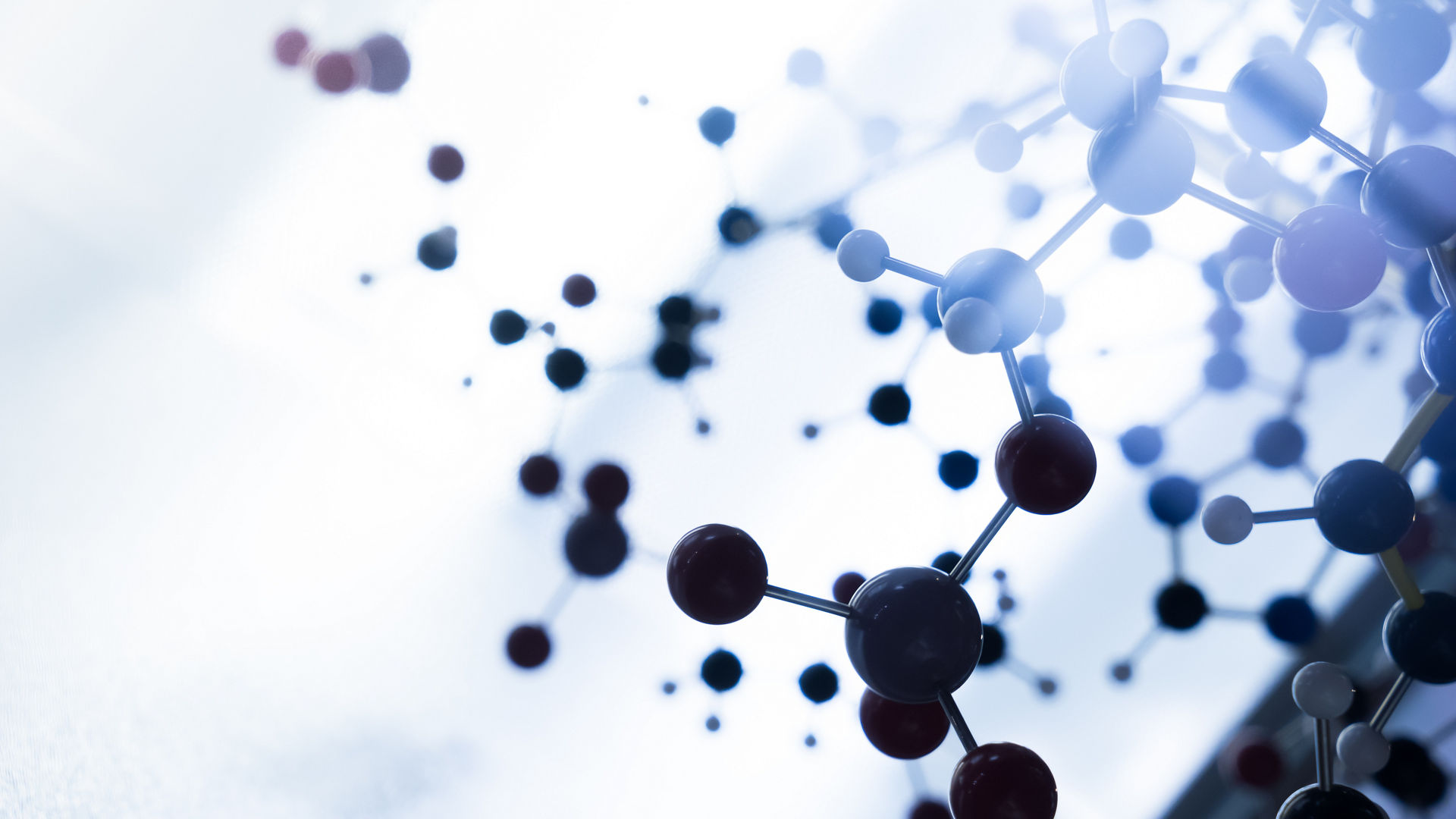 Molecule Model Structure