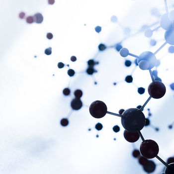 Molecule Model Structure