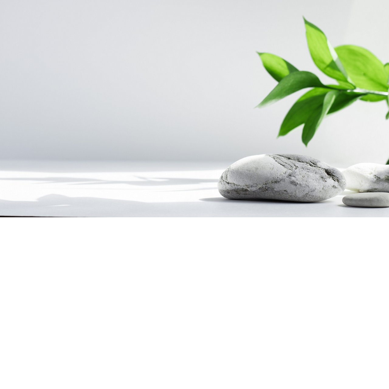 Salt stones and green Leaves of riskus in the sun, with shadows, on a white gray concrete background with copy space. Advertising background concept for cosmetics, fashion, spa. Banner; Shutterstock ID 1957542754; purchase_order: CON; job: ; client: ; other: 