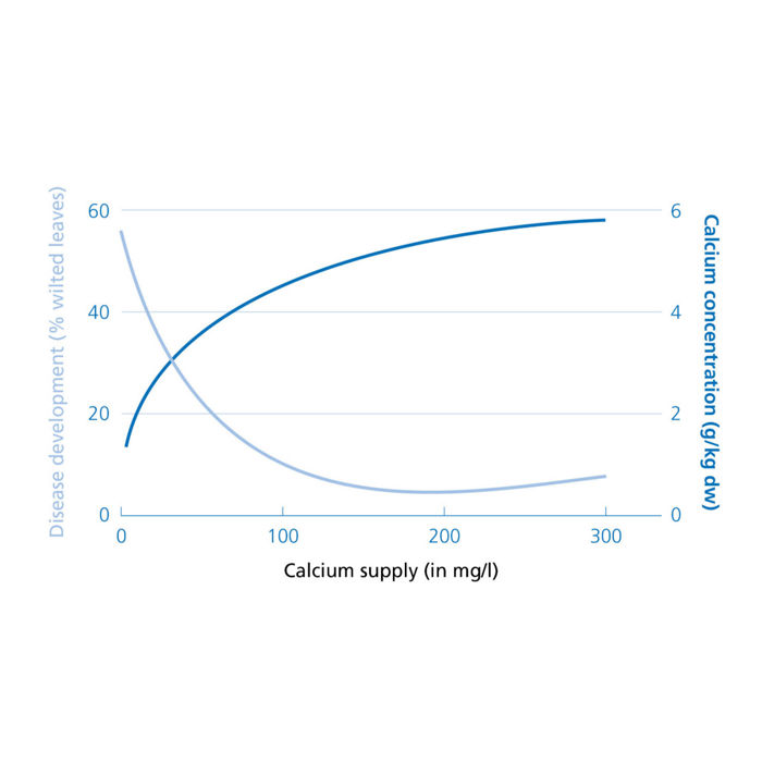 Relationship between Calciprill and disease