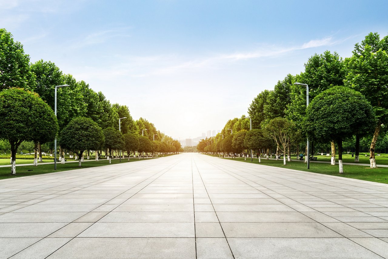 park road with trees on both sides in spring