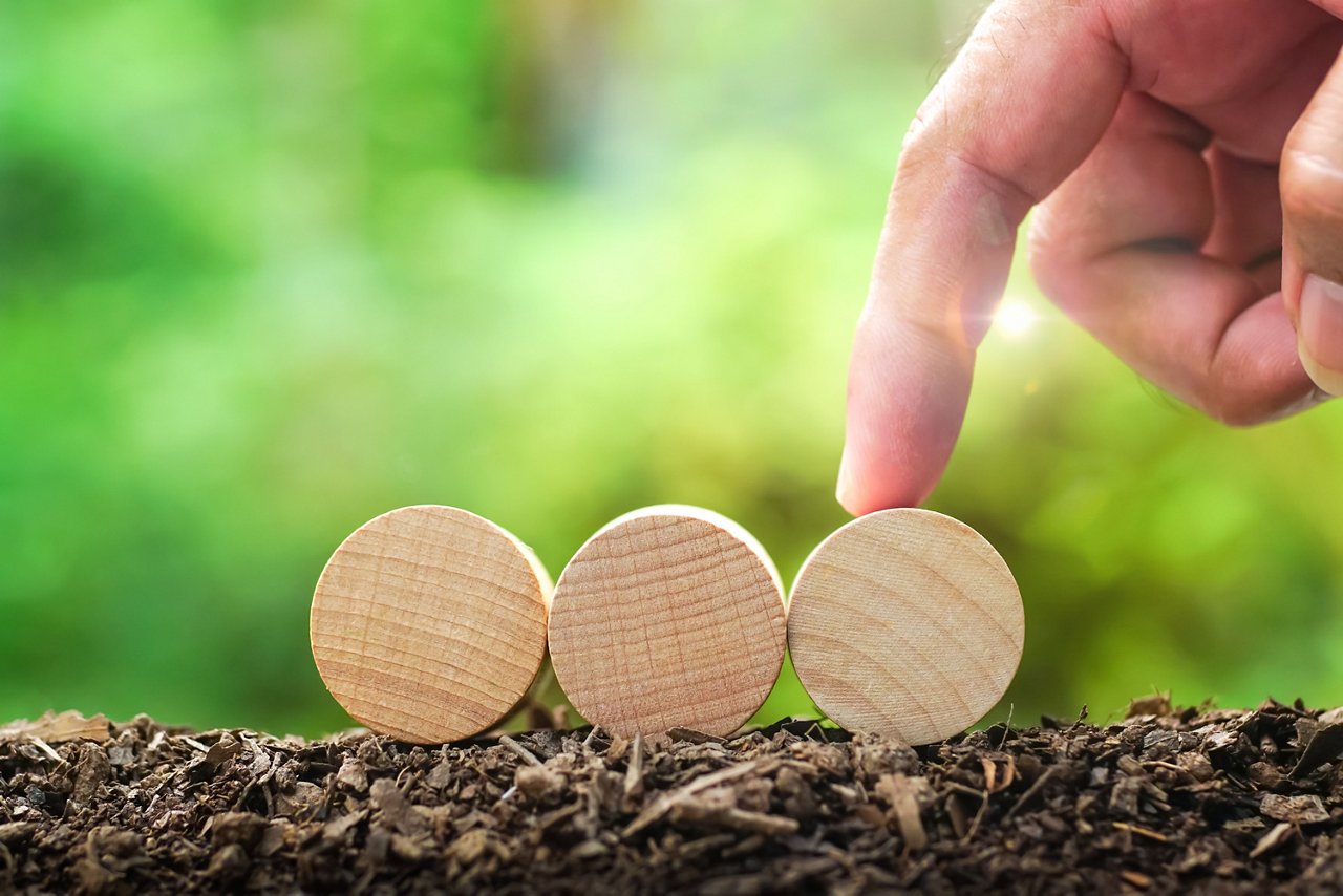 3 empty round wooden blocks on soil ground with hand on green natural background and blur for own customer text or letters. Idea of environment, energy, business concept.Front view, banner copy space.; Shutterstock ID 2341359925; purchase_order: CON; job: ; client: ; other: 