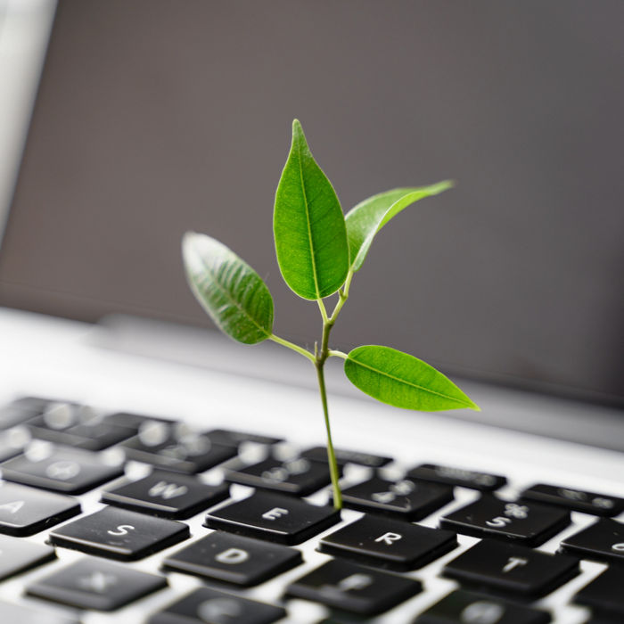 Laptop keyboard with plant growing on it. Green IT computing concept. Carbon efficient technology. Digital sustainability ; Shutterstock ID 1959278563; purchase_order: CON; job: Sustainable planning; client: CON; other: CON