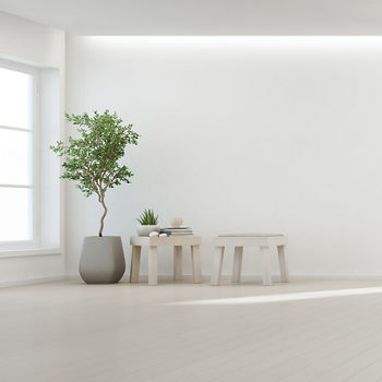 Indoor plant on wooden floor with white wall background in large room at modern new house for big family, Vintage window and door of empty hall or natural light studio -Home interior 3d illustration; Shutterstock ID 789595981; Purchase Order: COn Microsite