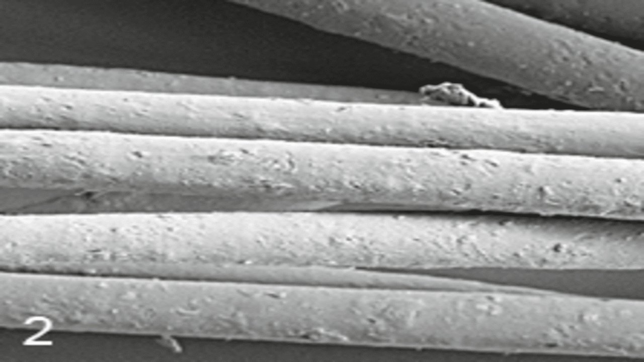 Addition of 10% Omyafiber 2 Fiber Surface