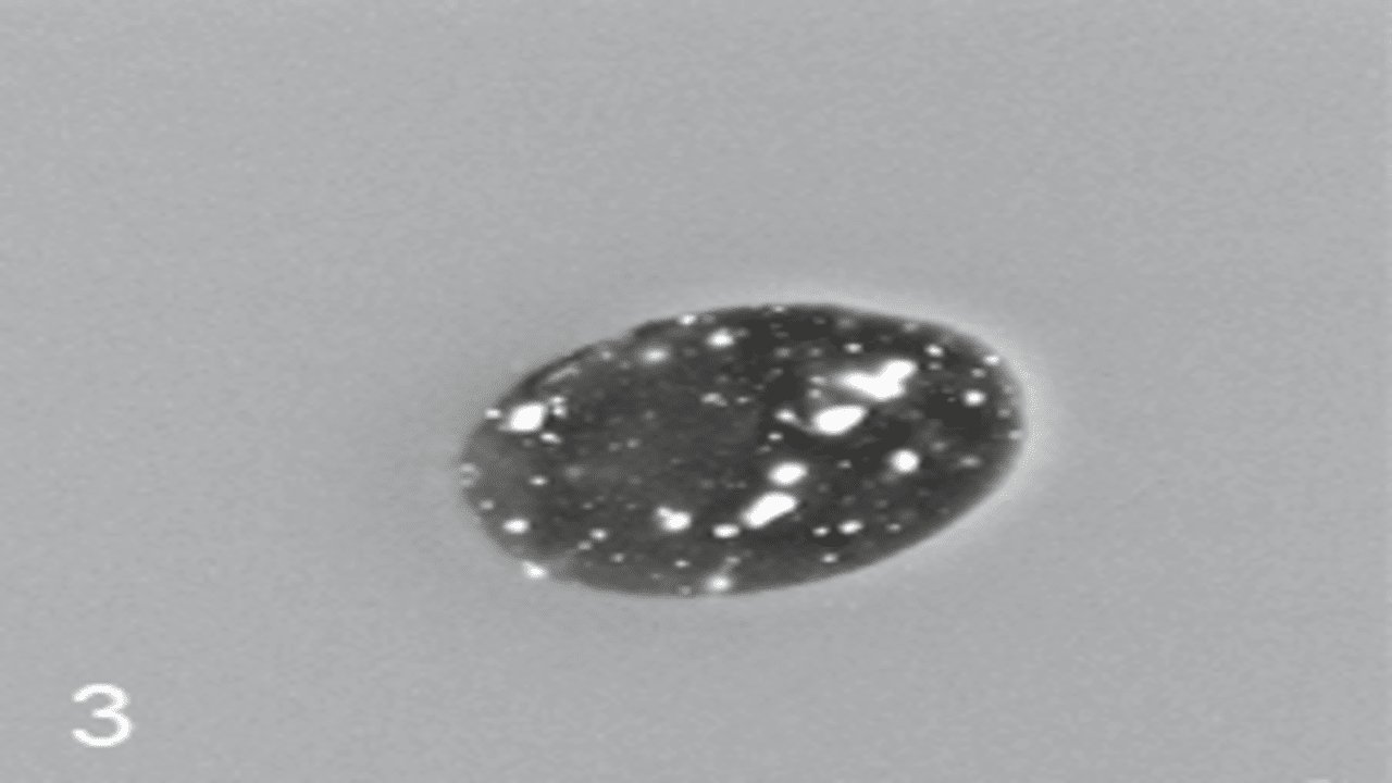 Addition of 10% Omyafiber 3 Fiber Cross Section