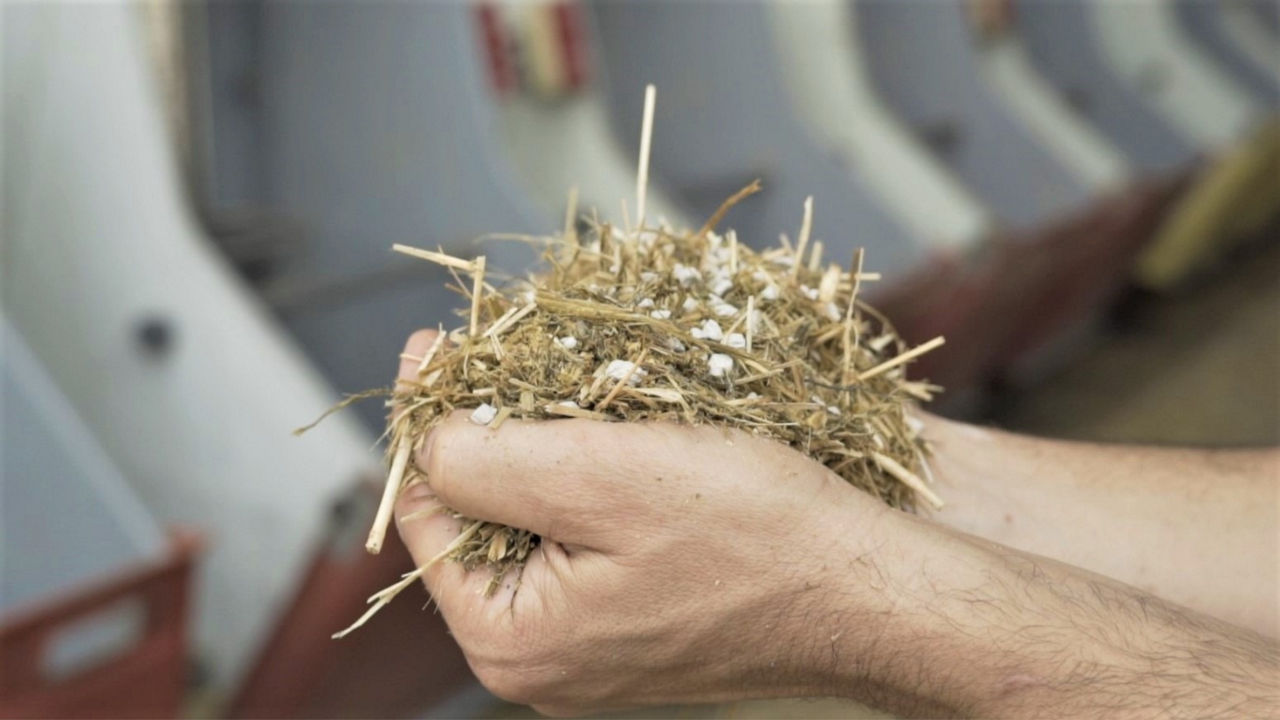 Farmer's hand cupping hay