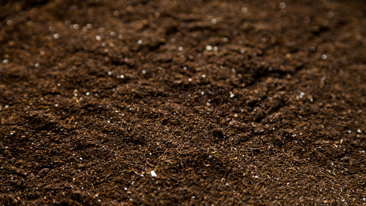 Healthy soil