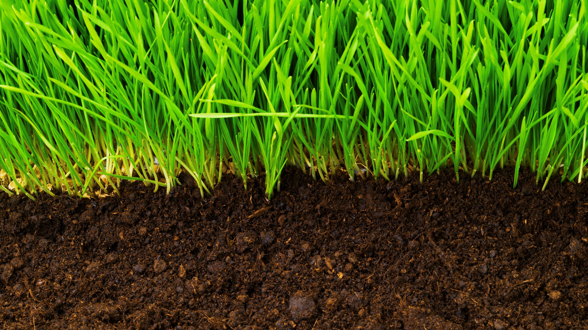 Soil with grass