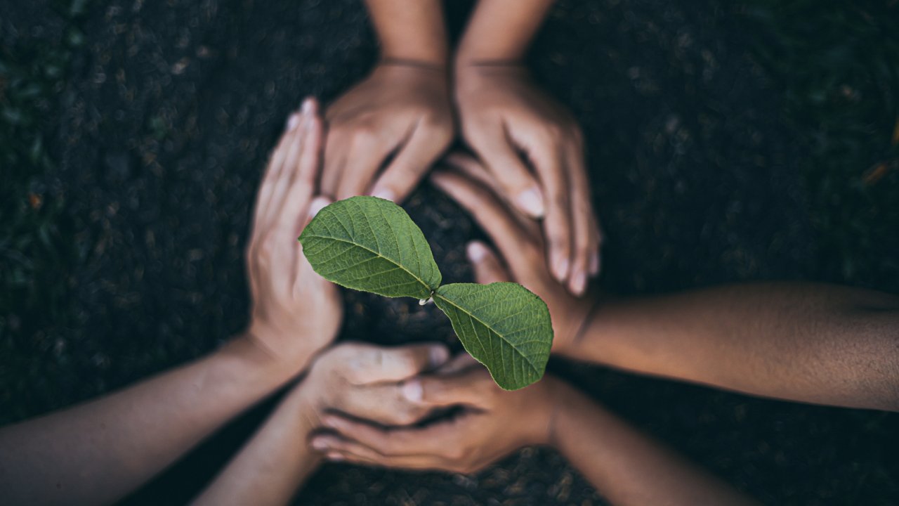 Human hands holding a crop