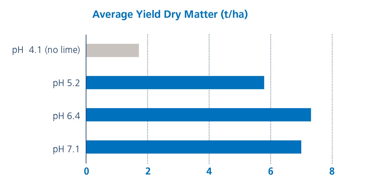 Average Yield Dry Matter