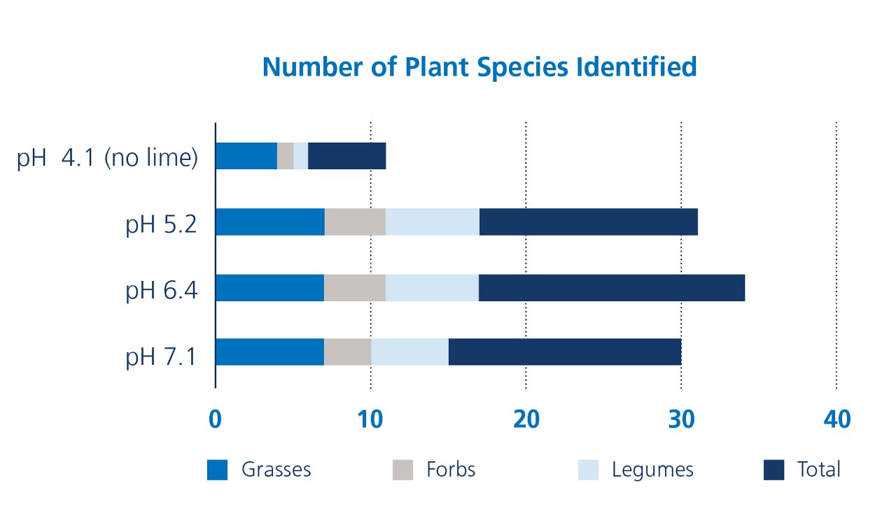 Number of Plant Species Identified