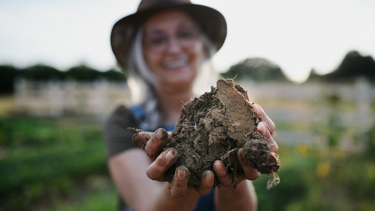Farmer showing soil sample