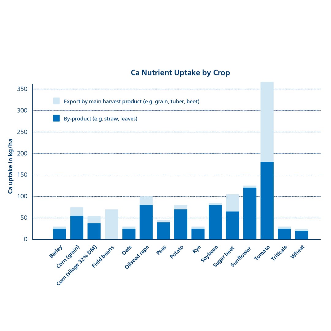 Ca nutrient uptake by crop