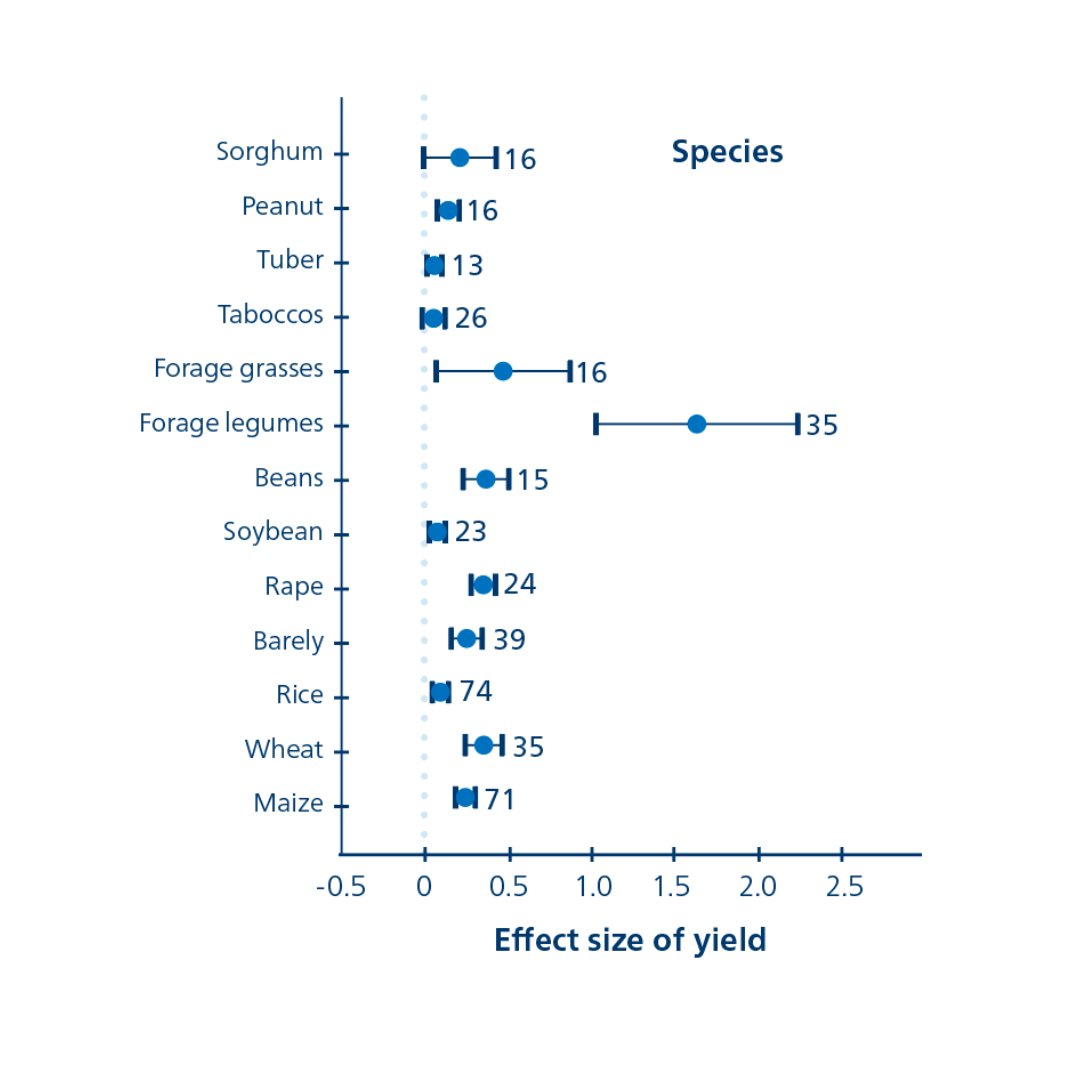 yield limiting