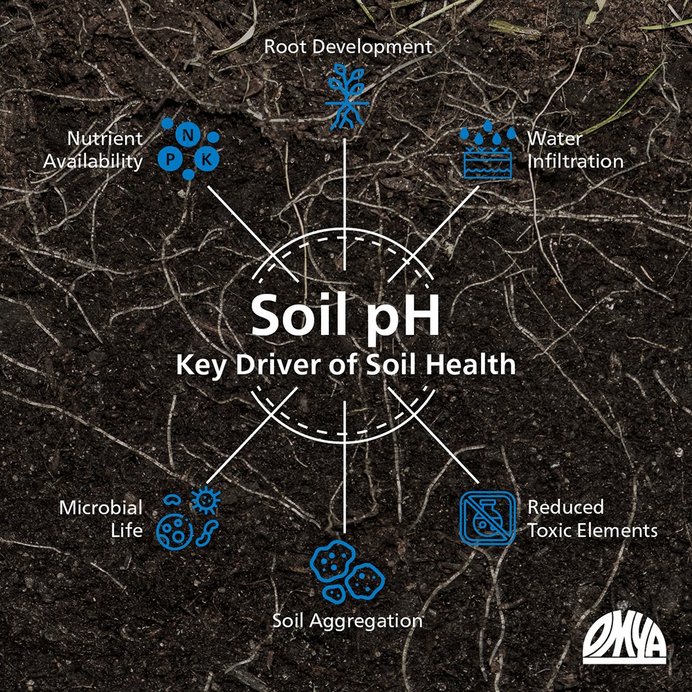 Key driver of Soil health Omya