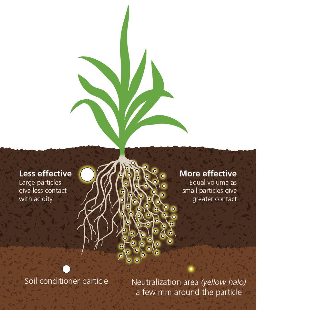  Fig 3 Finer particles neutralize soil pH more effectively