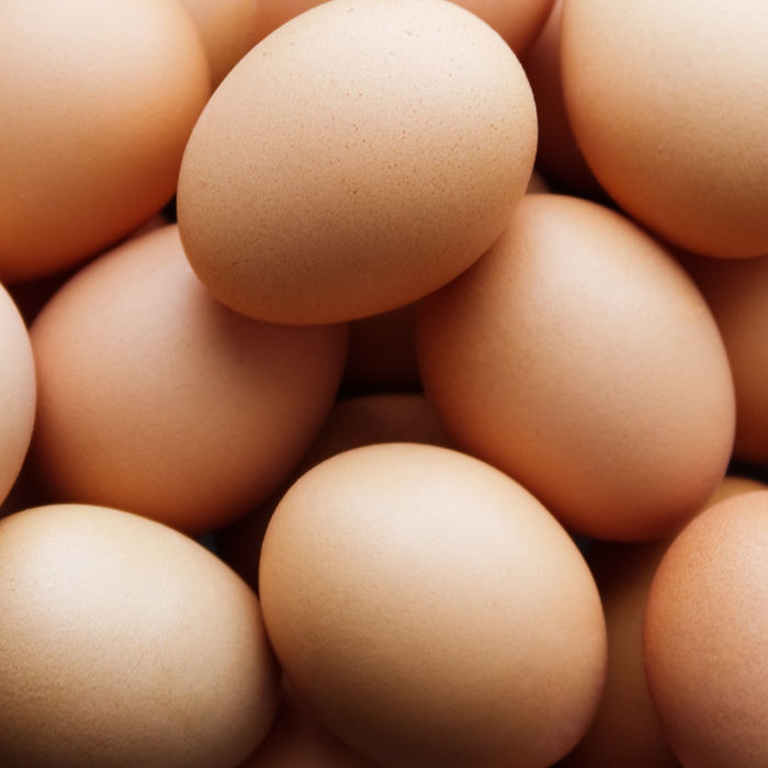 Omya Avicarb Solutions - Healthy Brown Eggs