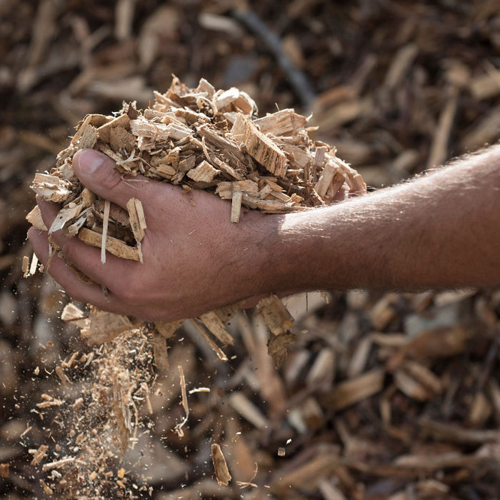 wood chips as a renewable heating fuel and energy source; Shutterstock ID 1904686438; purchase_order: CON; job: ; client: ; other: 