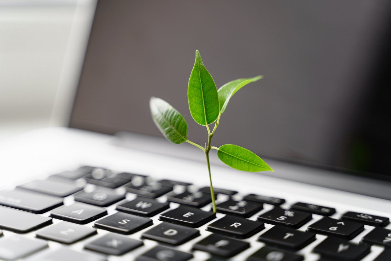 Laptop keyboard with plant growing on it. Green IT computing concept. Carbon efficient technology. Digital sustainability ; Shutterstock ID 1959278563; purchase_order: CON; job: Sustainable planning; client: CON; other: CON