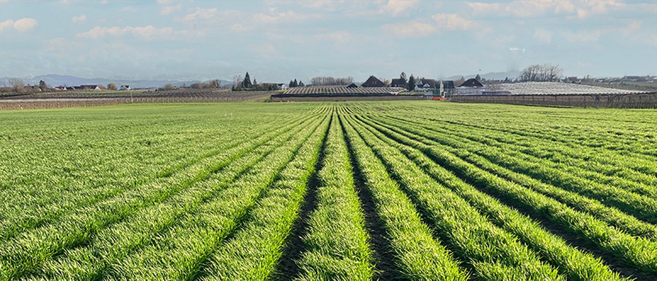 Demo_Feld_Auswertung_Egnach