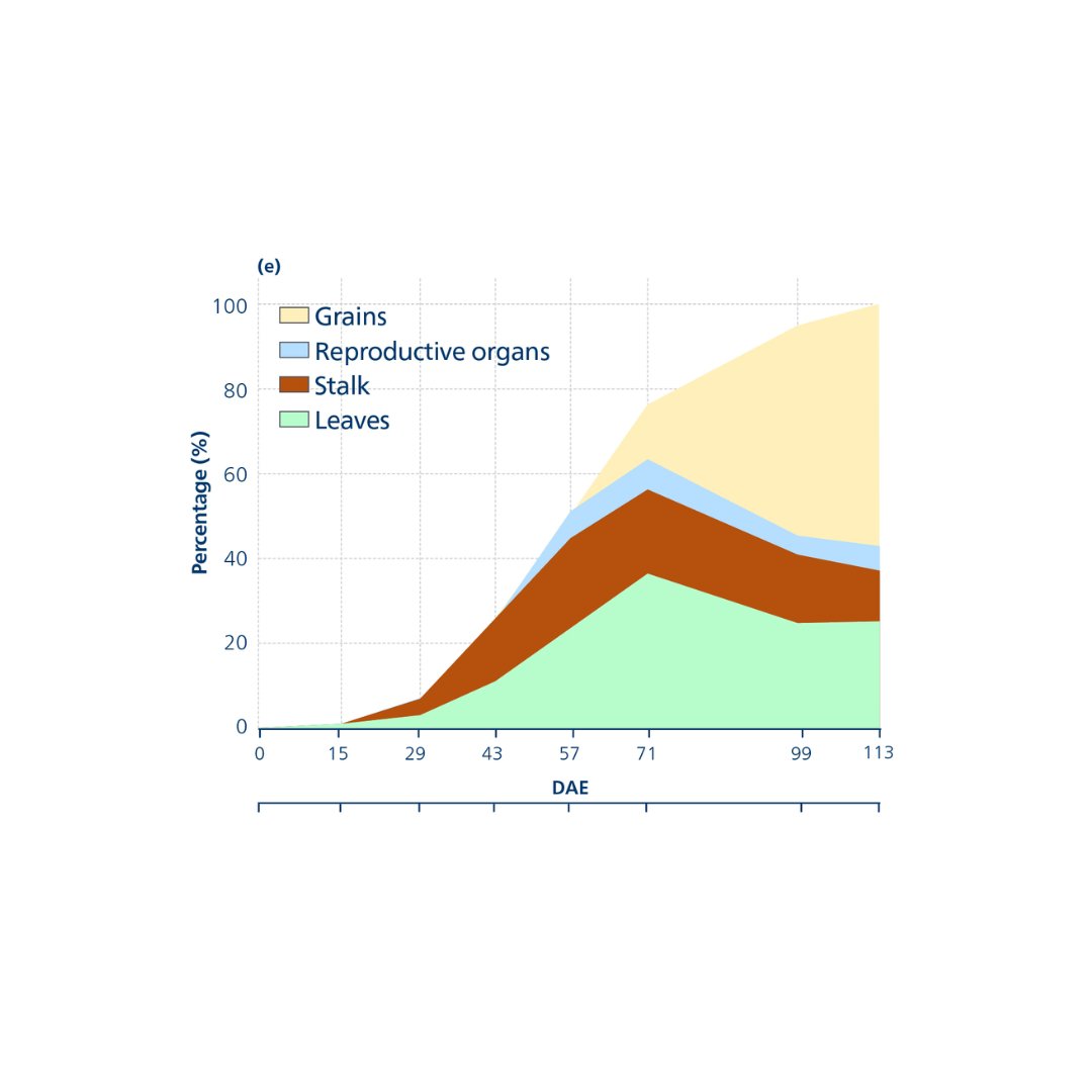 Figure 4.  Mg uptake in corn during the growth period 