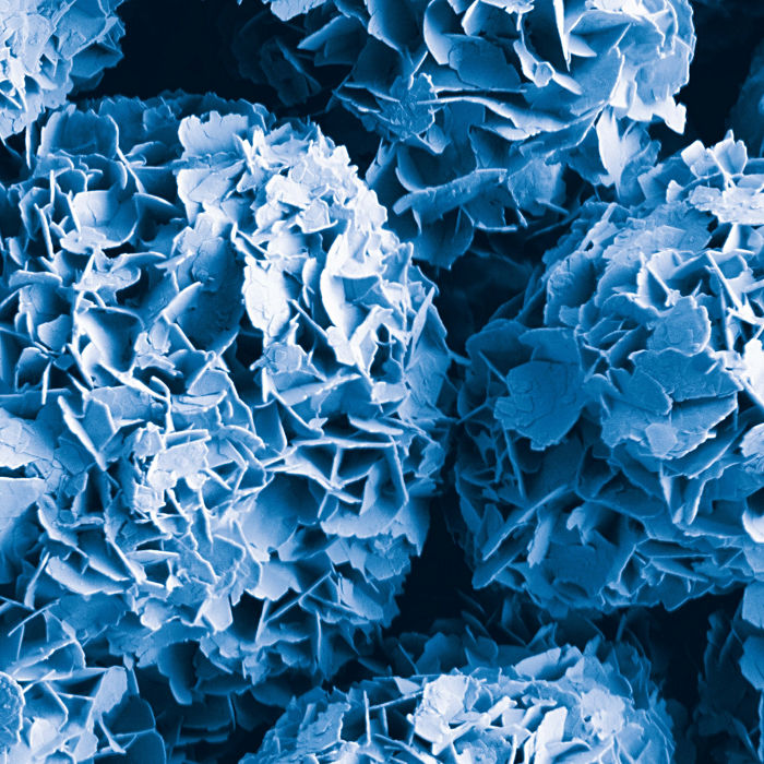 Modified calcium carbonate - Roses