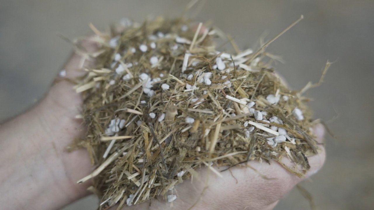 OmyaFeed C MgO Rumen