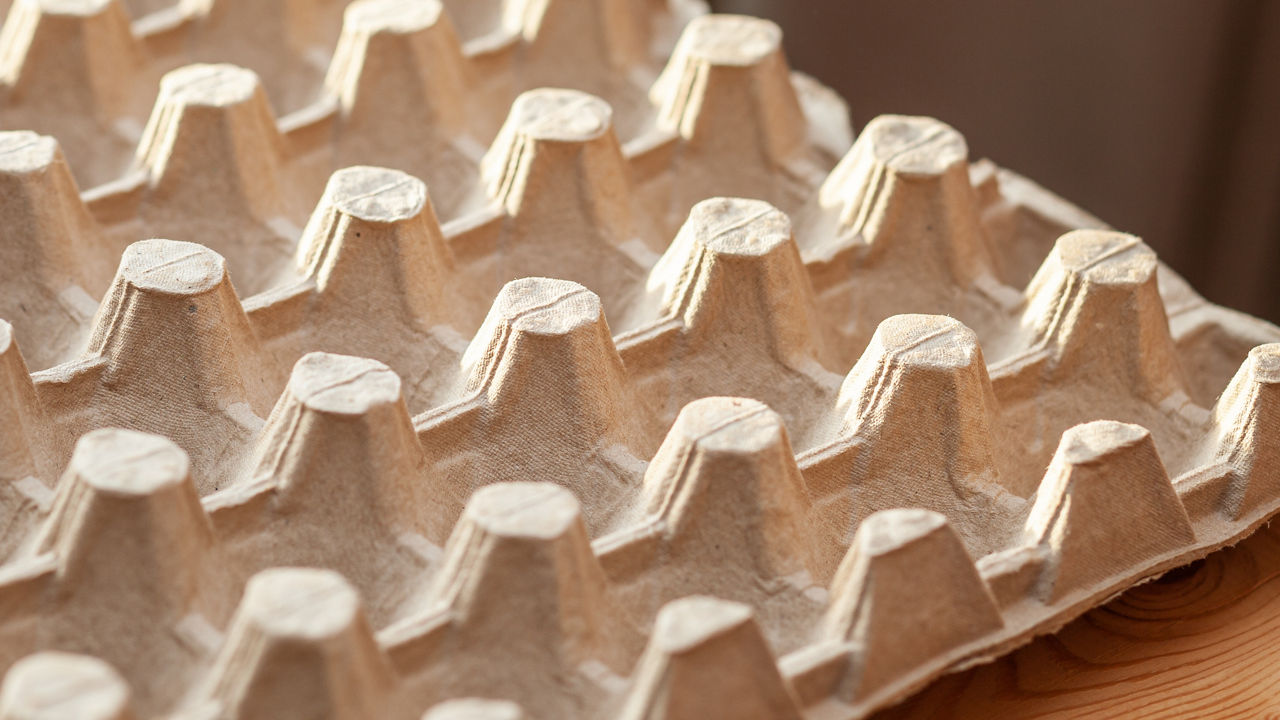 Protective cardboard packaging for storing eggs