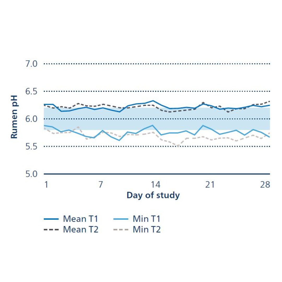 Figure 2: Rumen pH during trial period with OmyaFeed C MgO or sodium bicarbonate as rumen buffer 