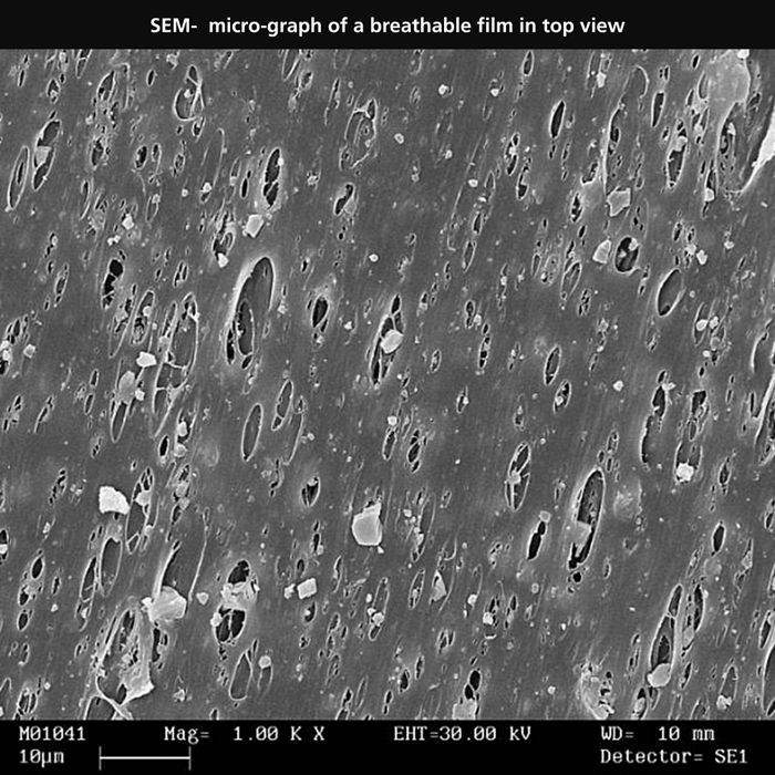 SEM-  micro-graph of a breathable film in top view - 1