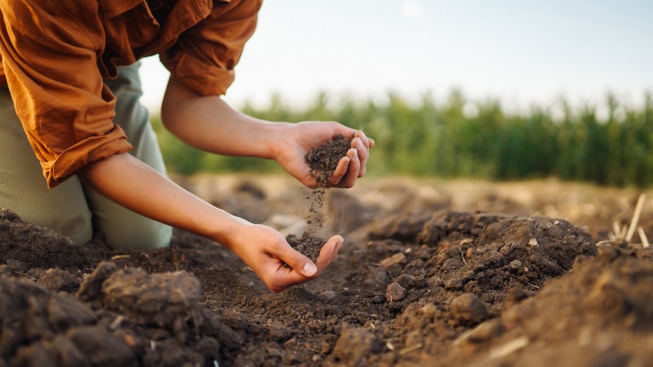 A woman holding soil in her hands
