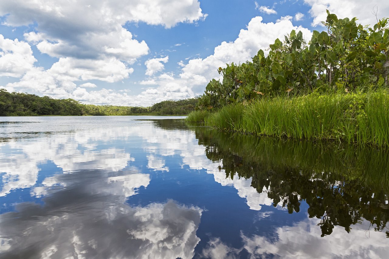 Ecuador, Amazon River region, Lake Pilchicocha; Shutterstock ID 265367618