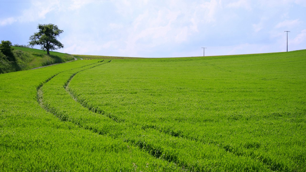 Wiesen_und_Weiden_hero
