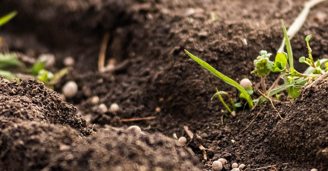 Omya Calciprill applied