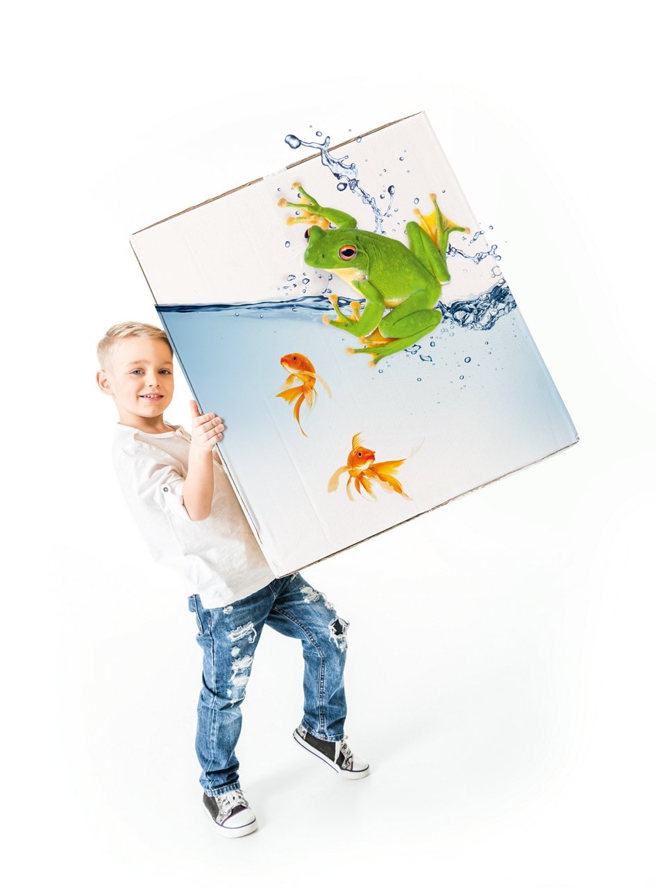 kid carrying box