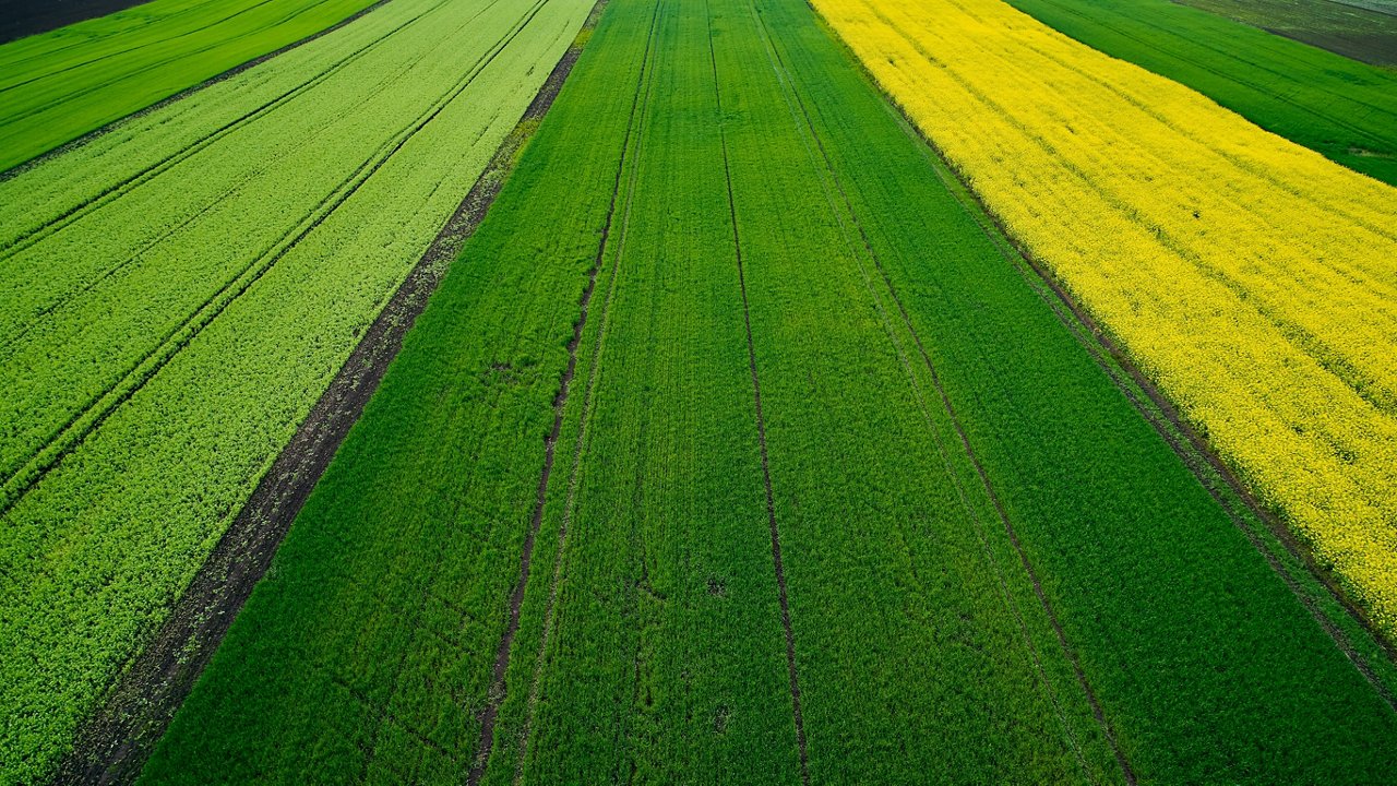 field of different crops, shooting from a drone; Shutterstock ID 2164259001; purchase_order: CORP; job: Turkey Landing Page; client: ; other: 
