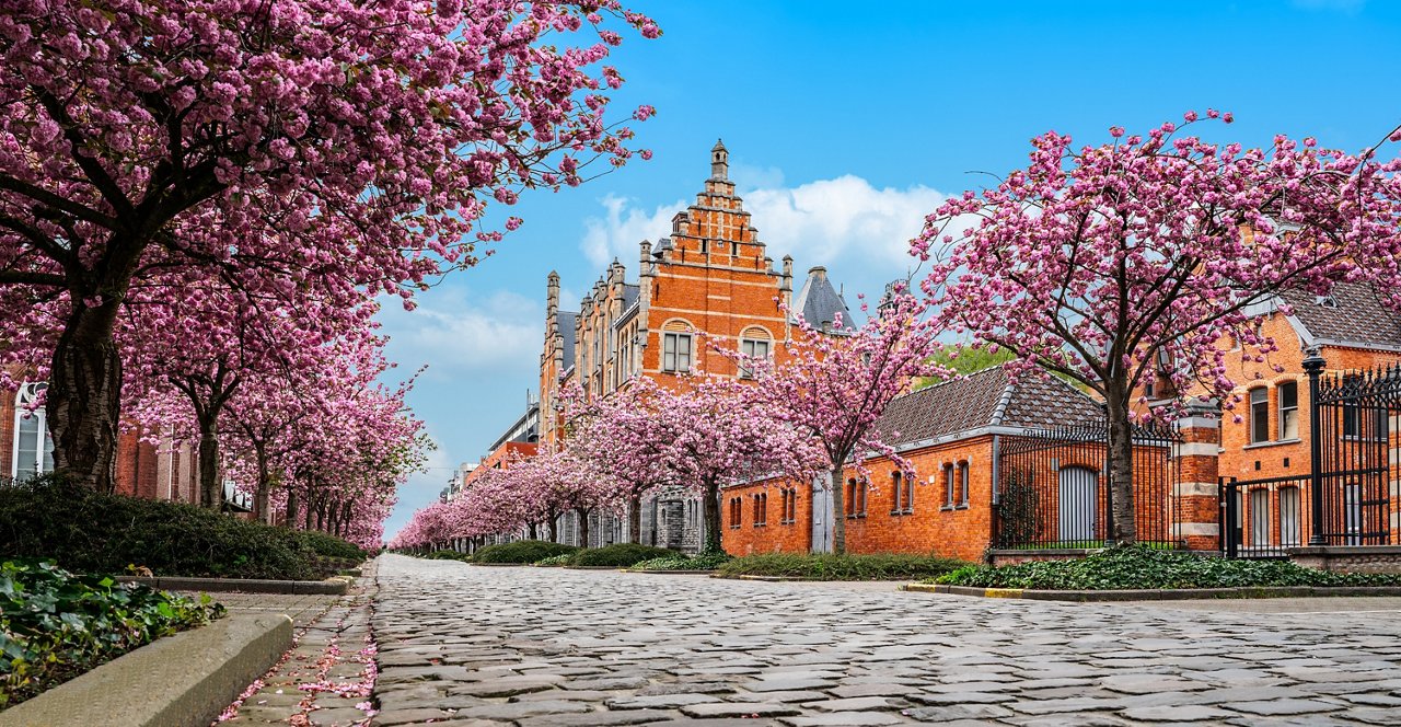 shutterstock_2599782807