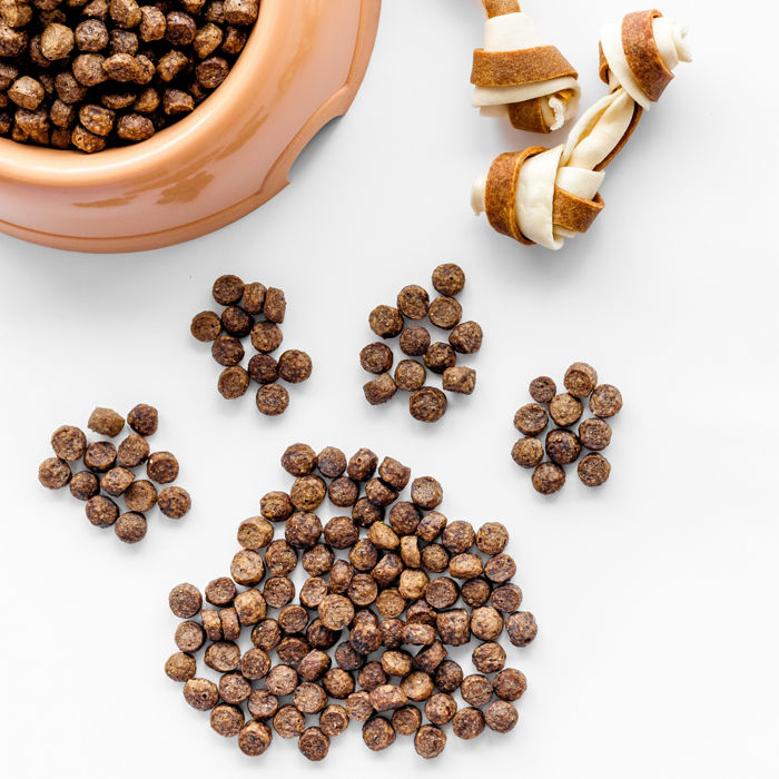 dog food in bowl on white background