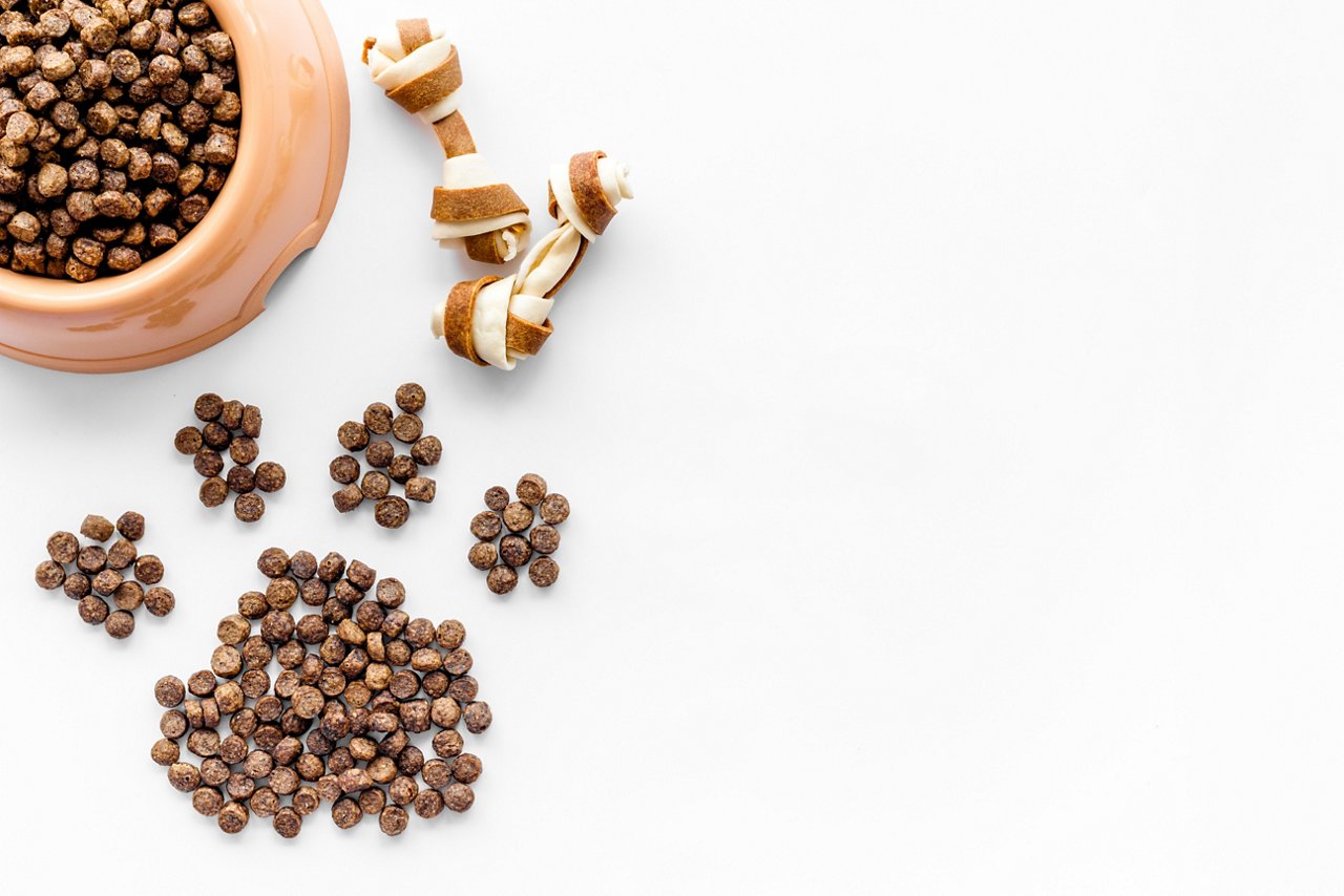 dog food in bowl on white background