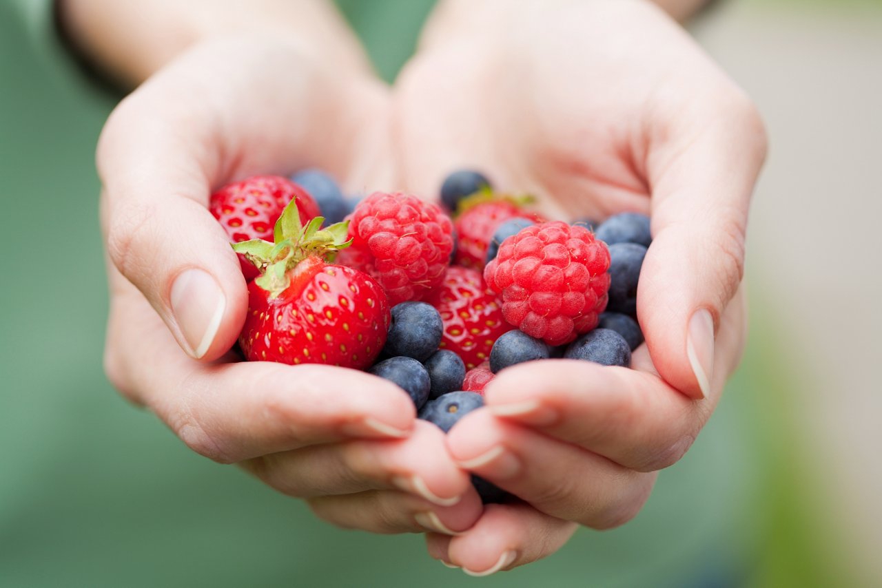 hands holding fresh berries; Shutterstock ID 81157834; purchase_order: -; job: -; client: -; other: -