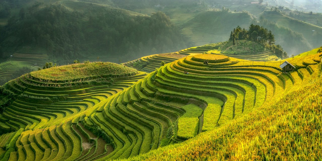 Smooth symbolize the city's Mu cang chai,Yenbai,Vietnam.